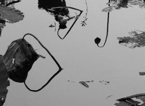 快速提升寫(xiě)作能力的9個(gè)關(guān)鍵之處